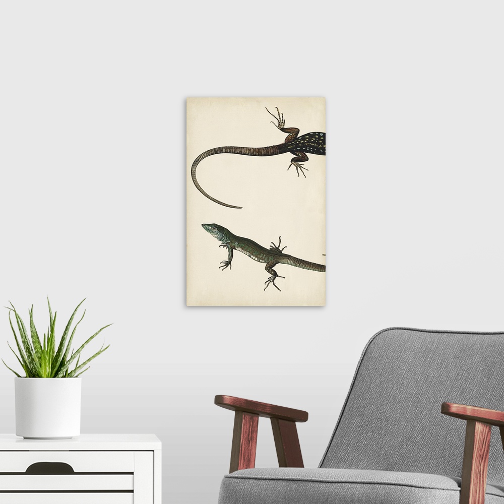 A modern room featuring Lizard Diptych I