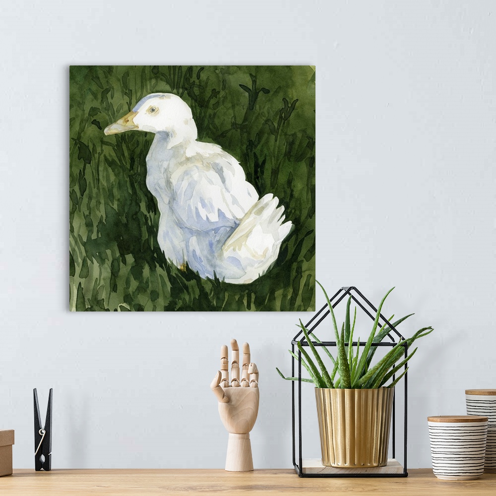 A bohemian room featuring Lone Duck II