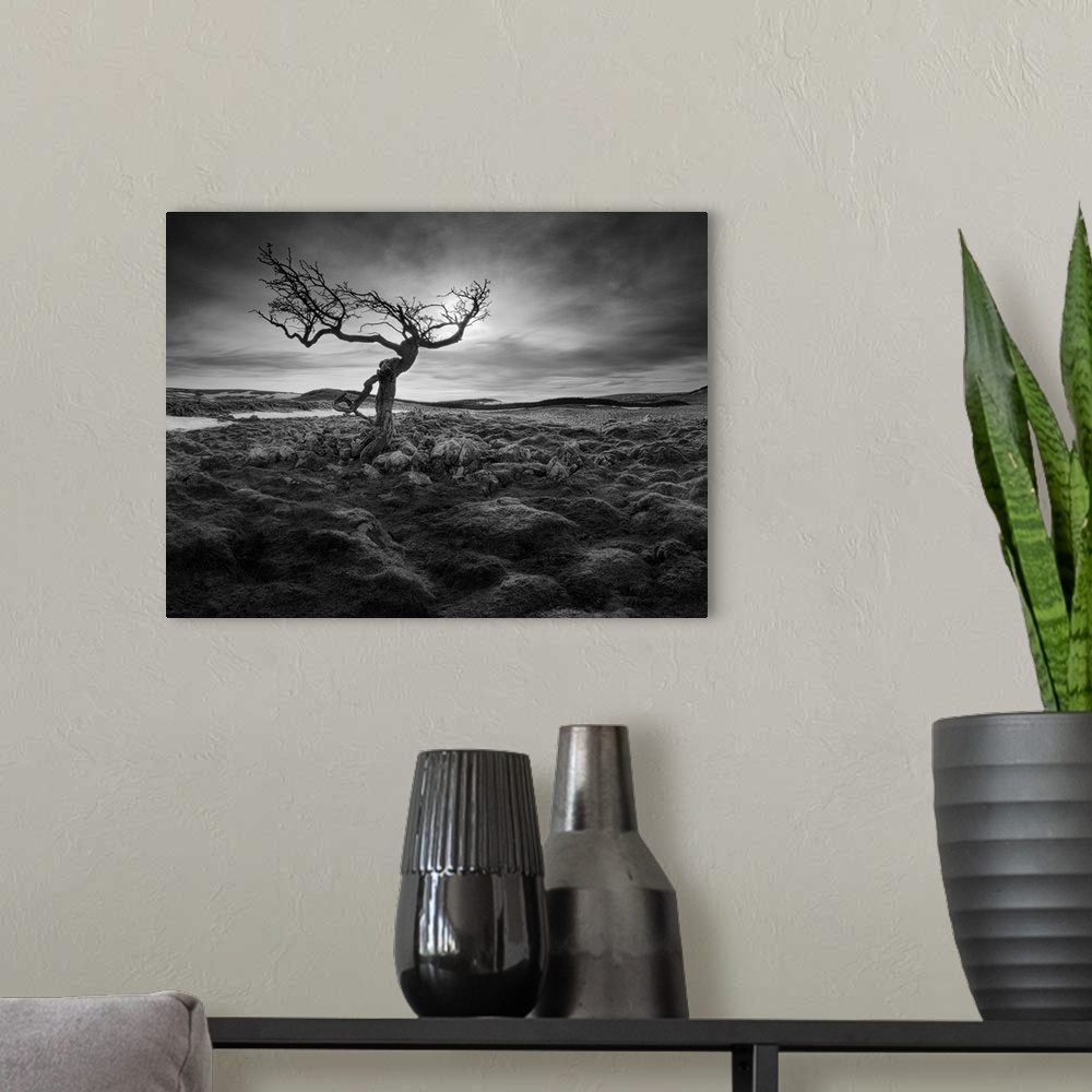 A modern room featuring A black and white photograph of a gnarled tree standing lone in a baron looking landscape.