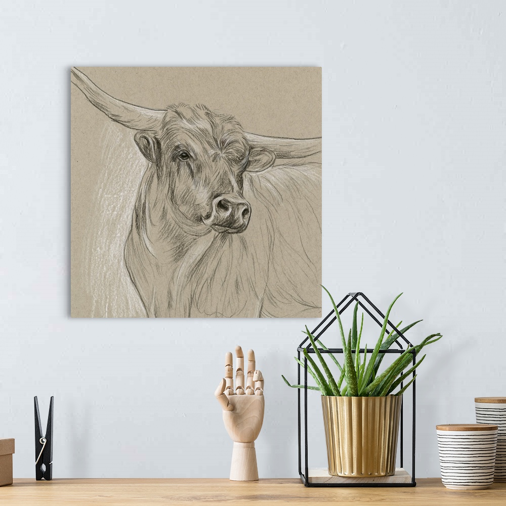 A bohemian room featuring Black and white sketch of a longhorn on a neutral background.