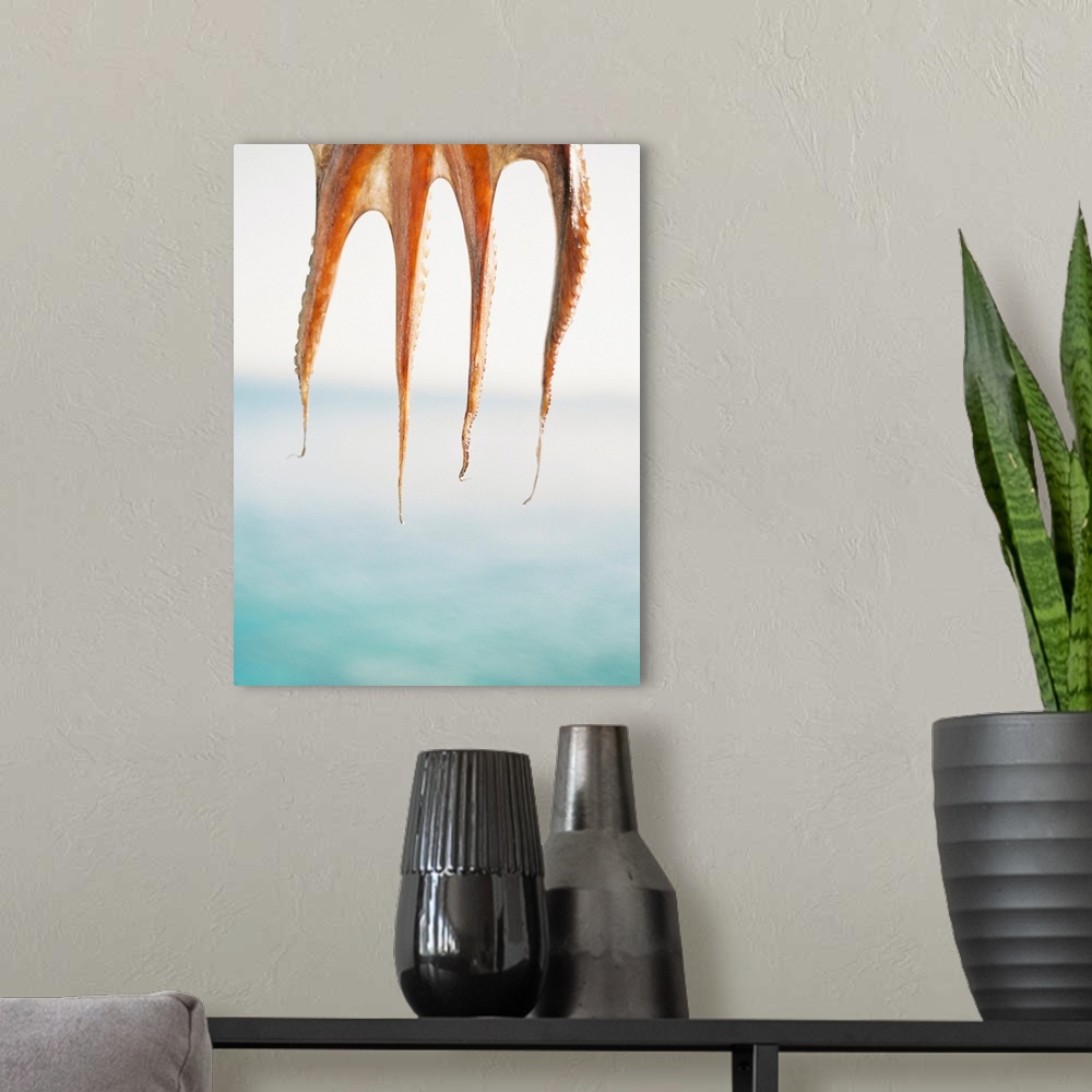 A modern room featuring Photograph of squid hanging to dry, Santorini, Greece.