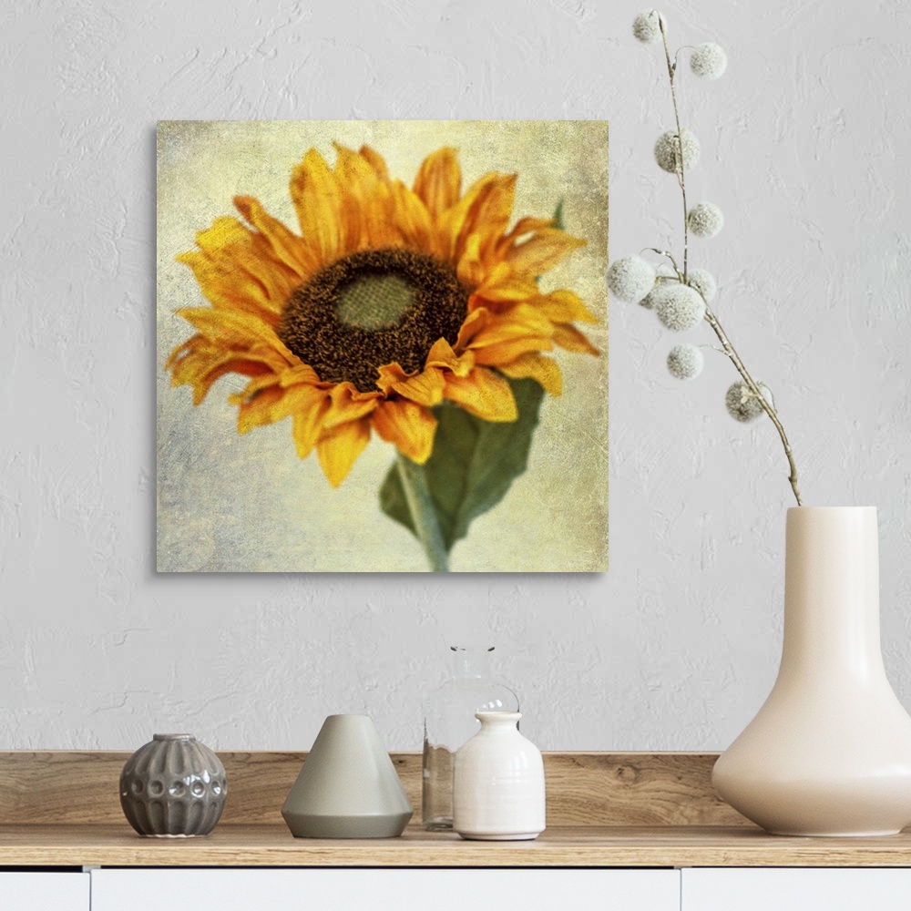 A farmhouse room featuring Fine art photo of a single sunflower with a grunge texture.