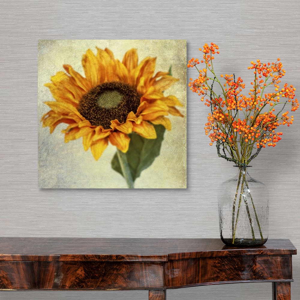 A traditional room featuring Fine art photo of a single sunflower with a grunge texture.