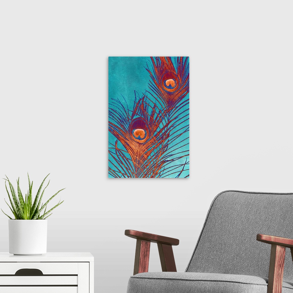 A modern room featuring Contemporary home decor artwork of red and purple peacock feathers against a teal background.