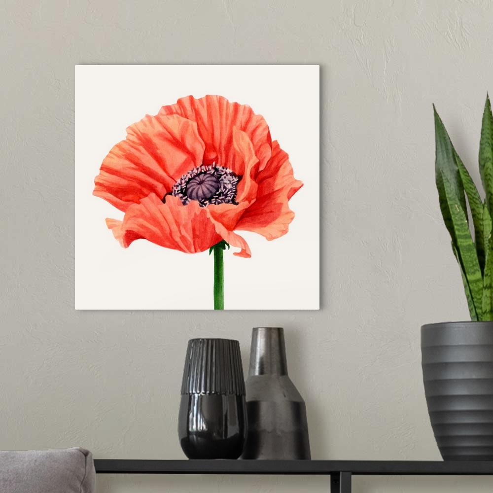 A modern room featuring Magnified Poppy I