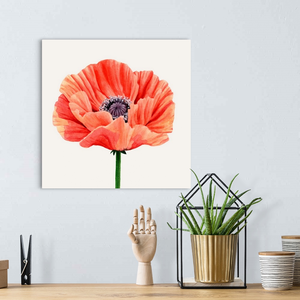 A bohemian room featuring Magnified Poppy II
