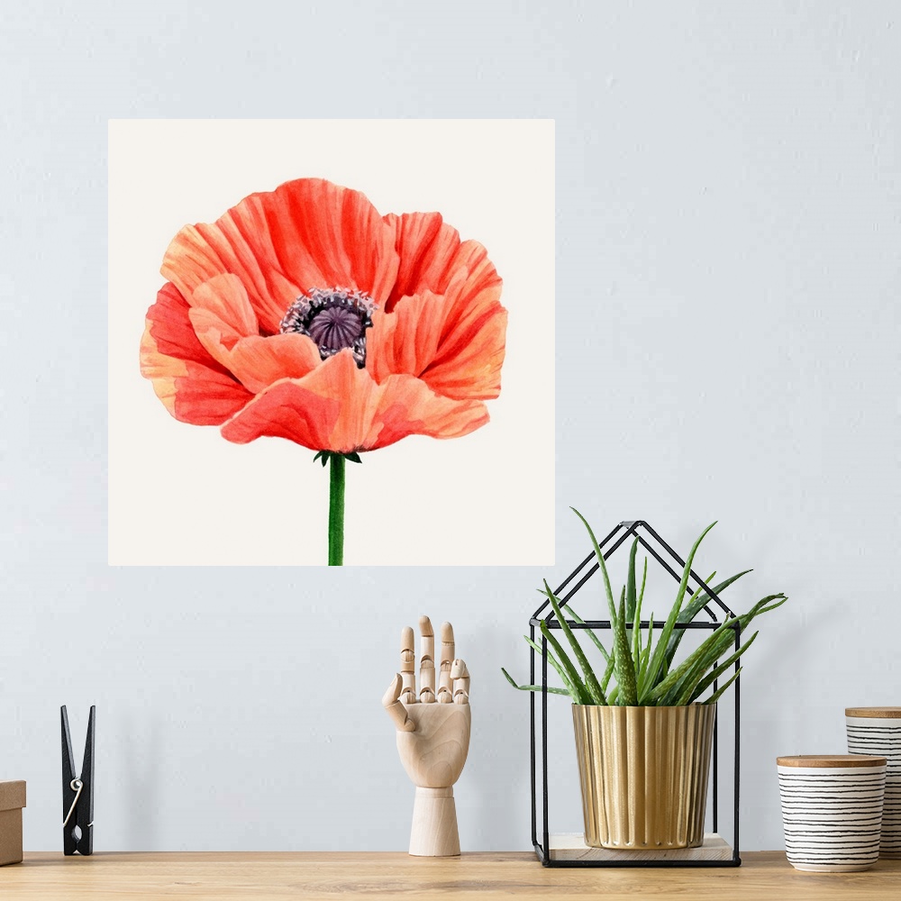 A bohemian room featuring Magnified Poppy II