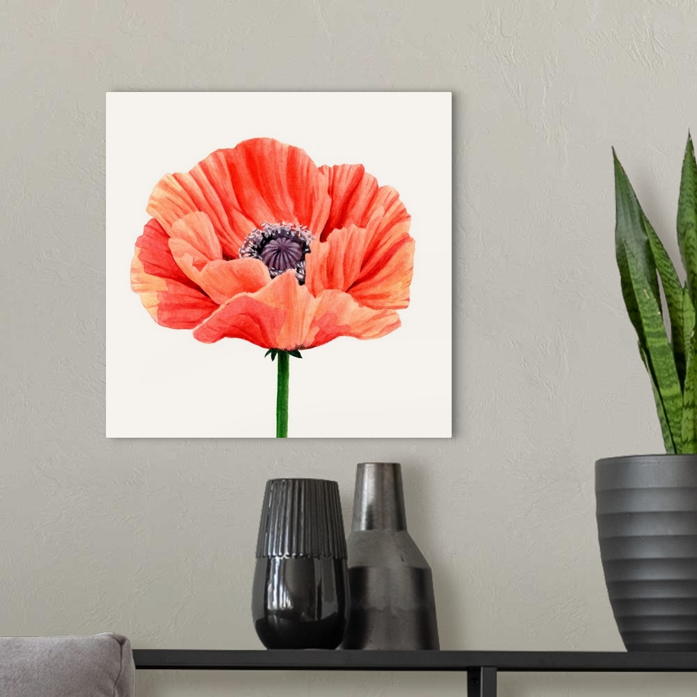 A modern room featuring Magnified Poppy II