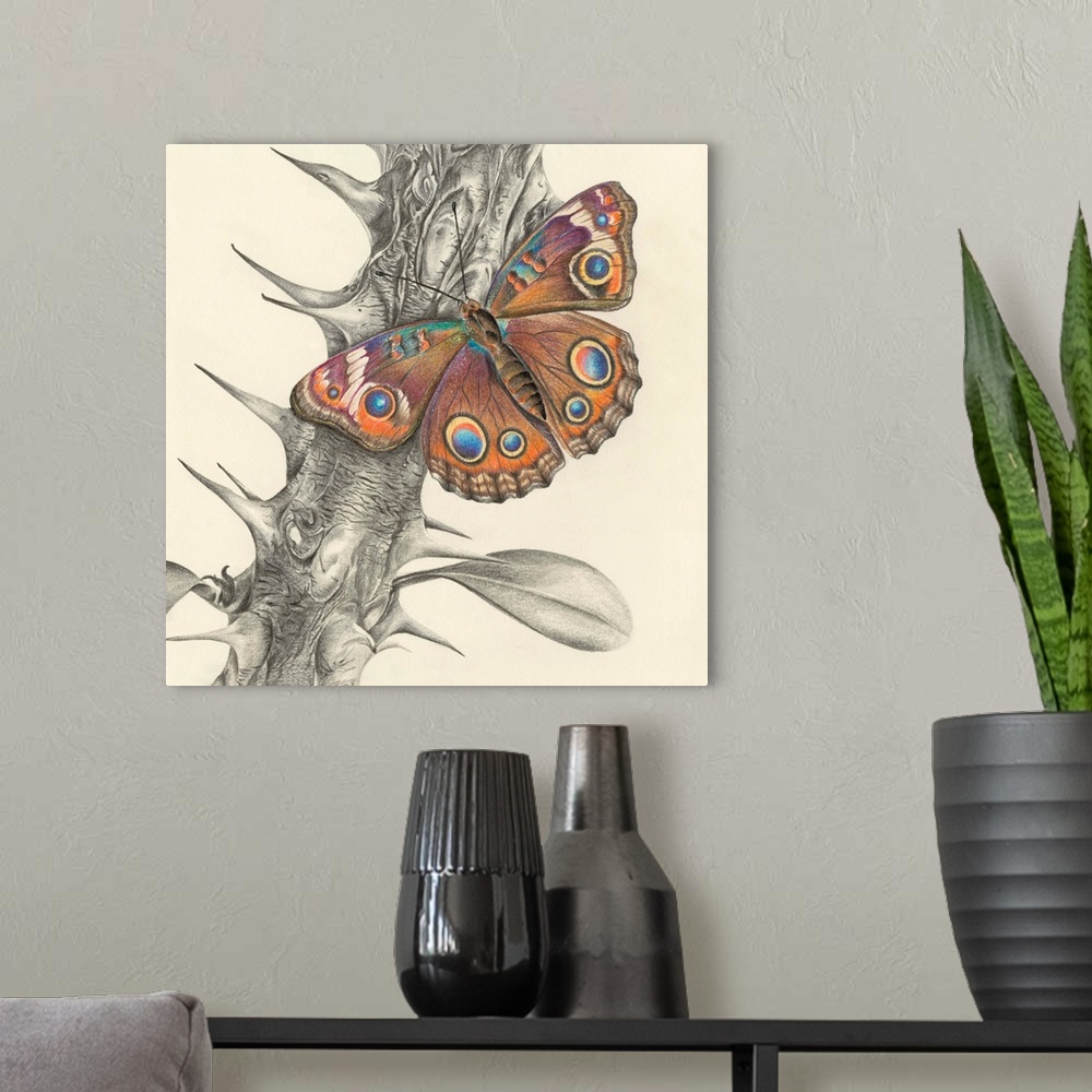 A modern room featuring Majestic Butterfly II