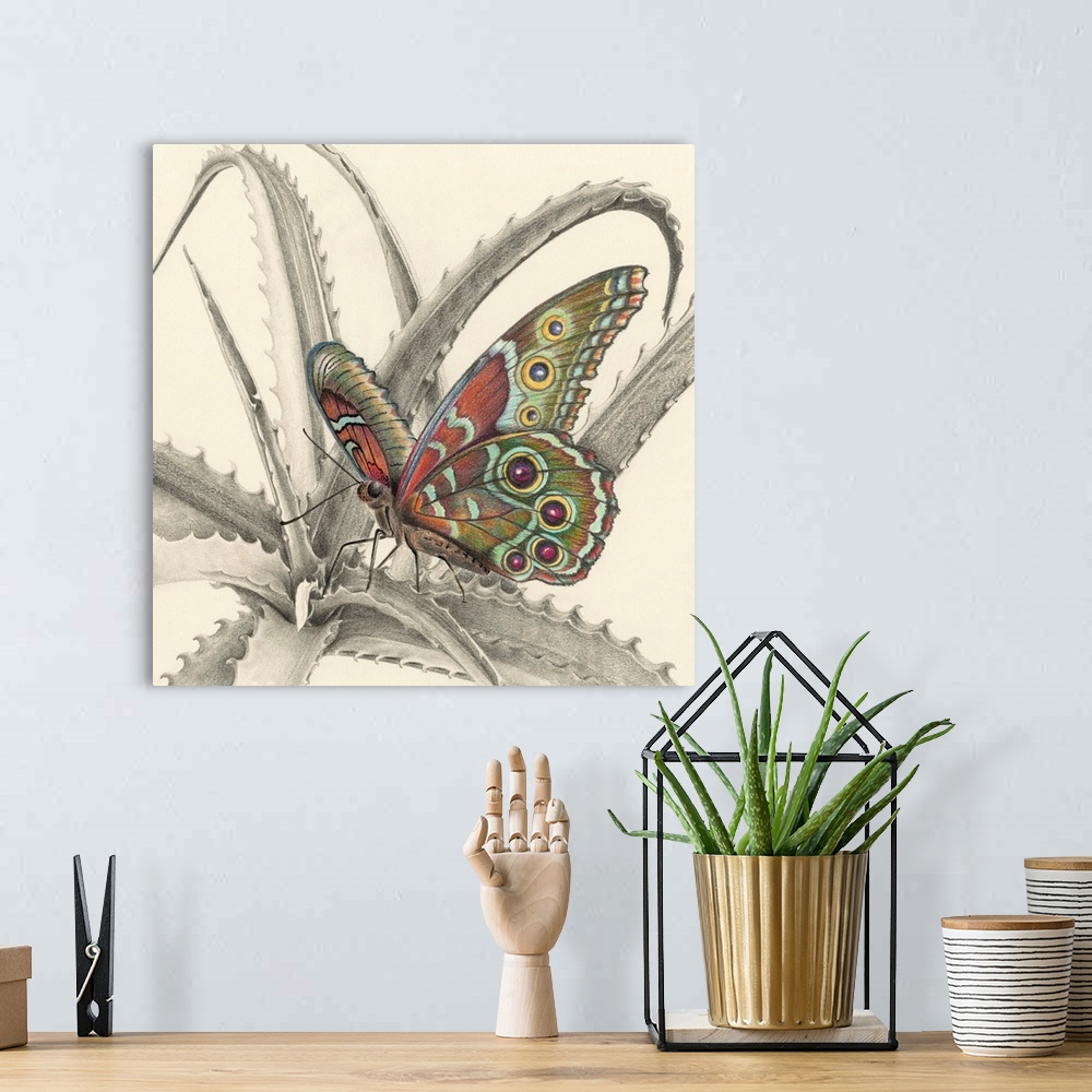 A bohemian room featuring Majestic Butterfly III