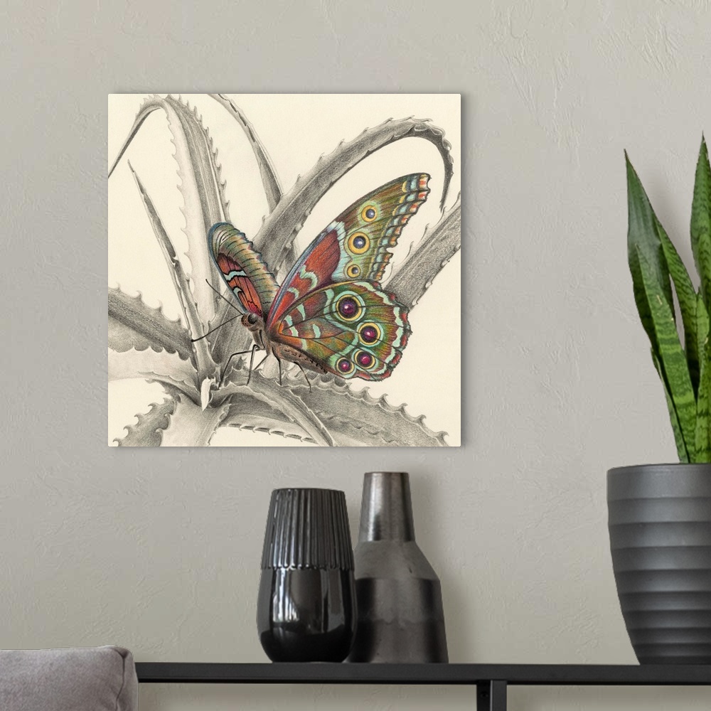 A modern room featuring Majestic Butterfly III