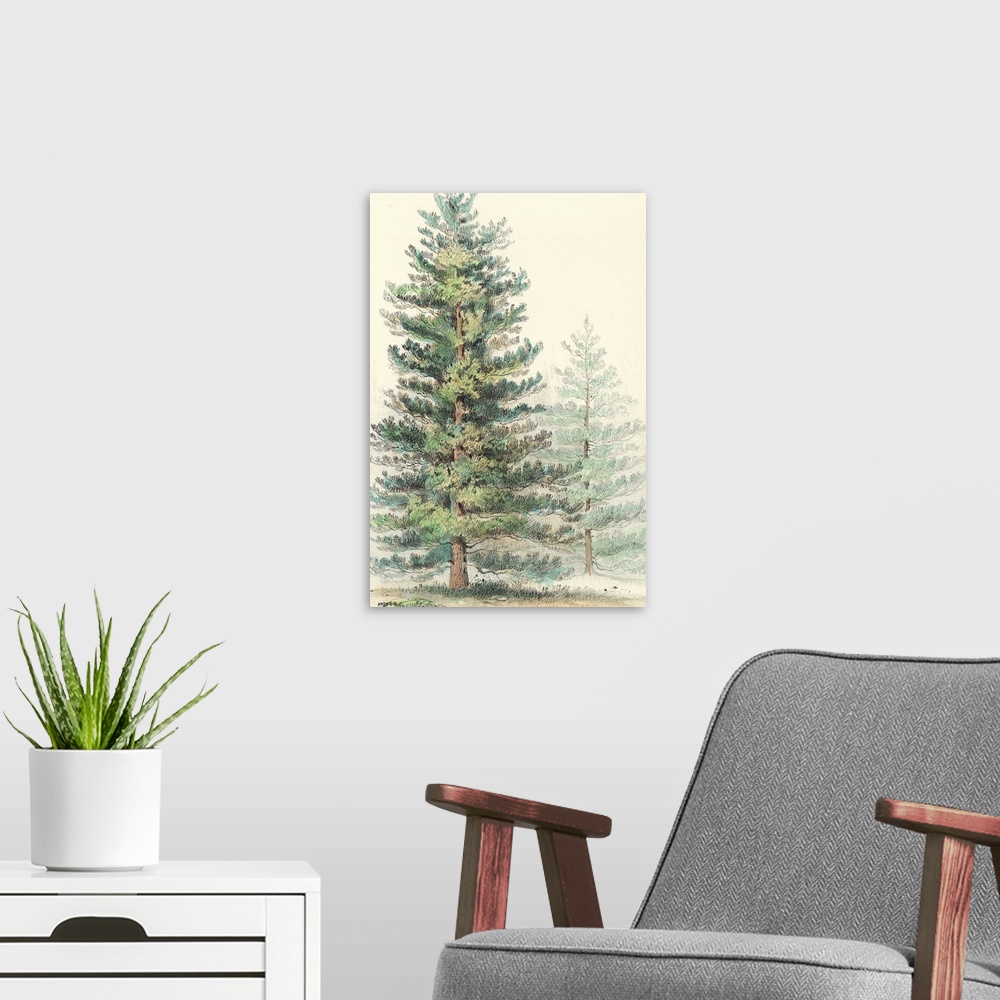 A modern room featuring Majestic Pine I