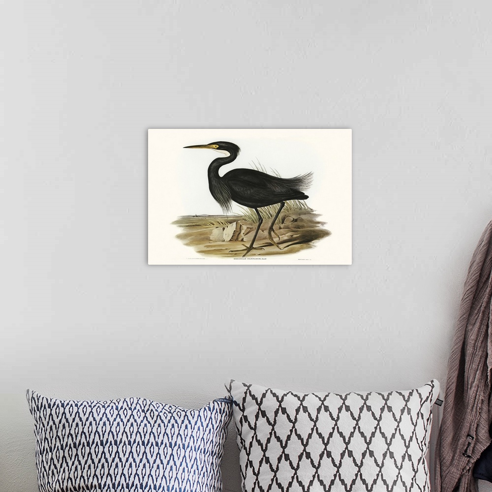 A bohemian room featuring Majestic Waterbird IV
