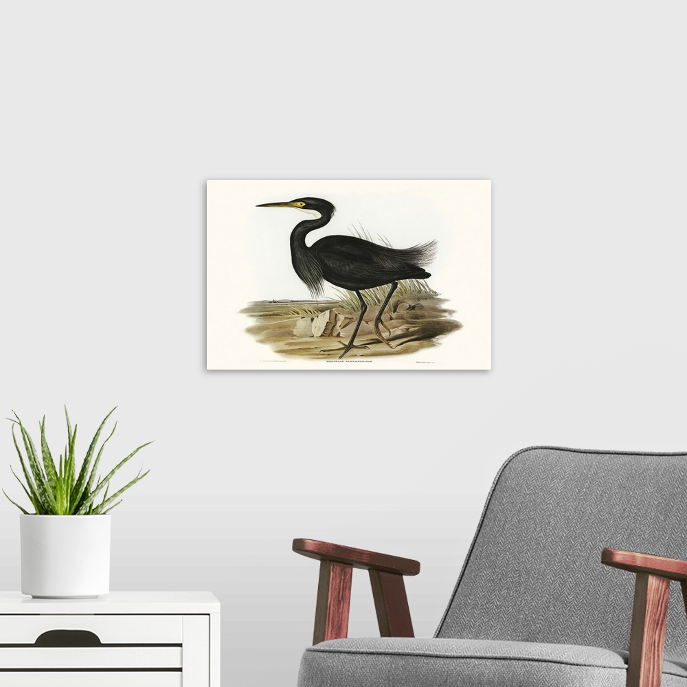 A modern room featuring Majestic Waterbird IV