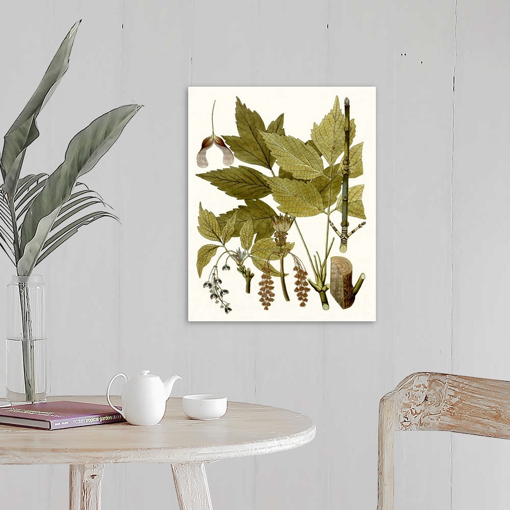 A farmhouse room featuring A decorative vintage illustration of group of leaves.