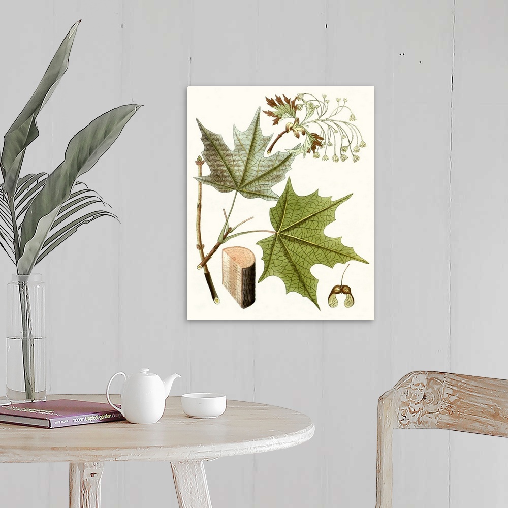 A farmhouse room featuring A decorative vintage illustration of group of leaves.