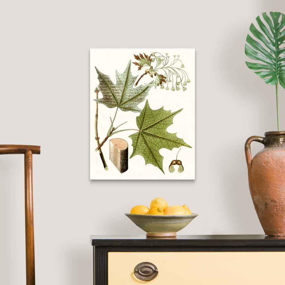 A traditional room featuring A decorative vintage illustration of group of leaves.