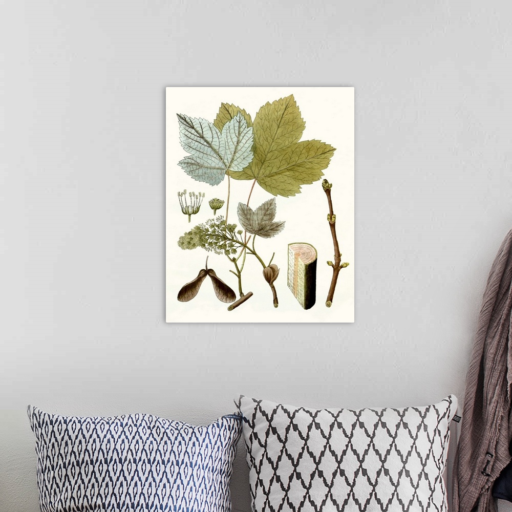 A bohemian room featuring A decorative vintage illustration of group of leaves.