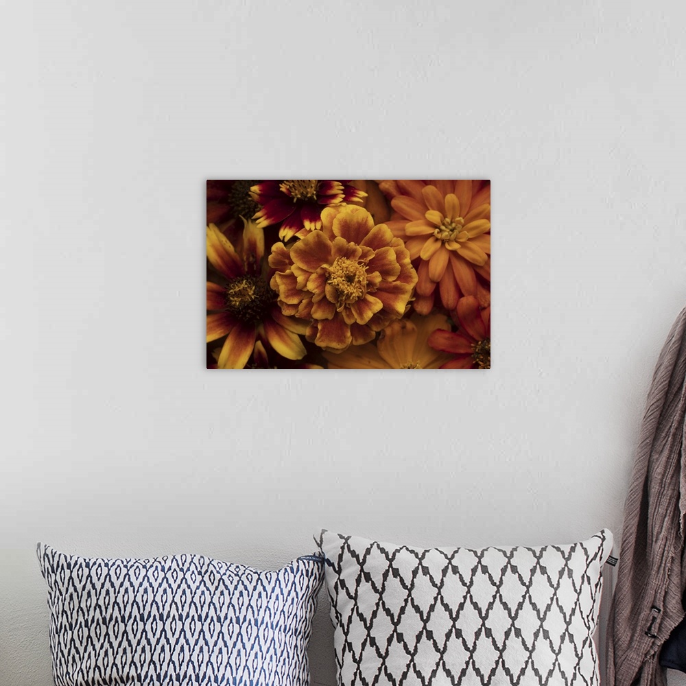 A bohemian room featuring Marigold Petals