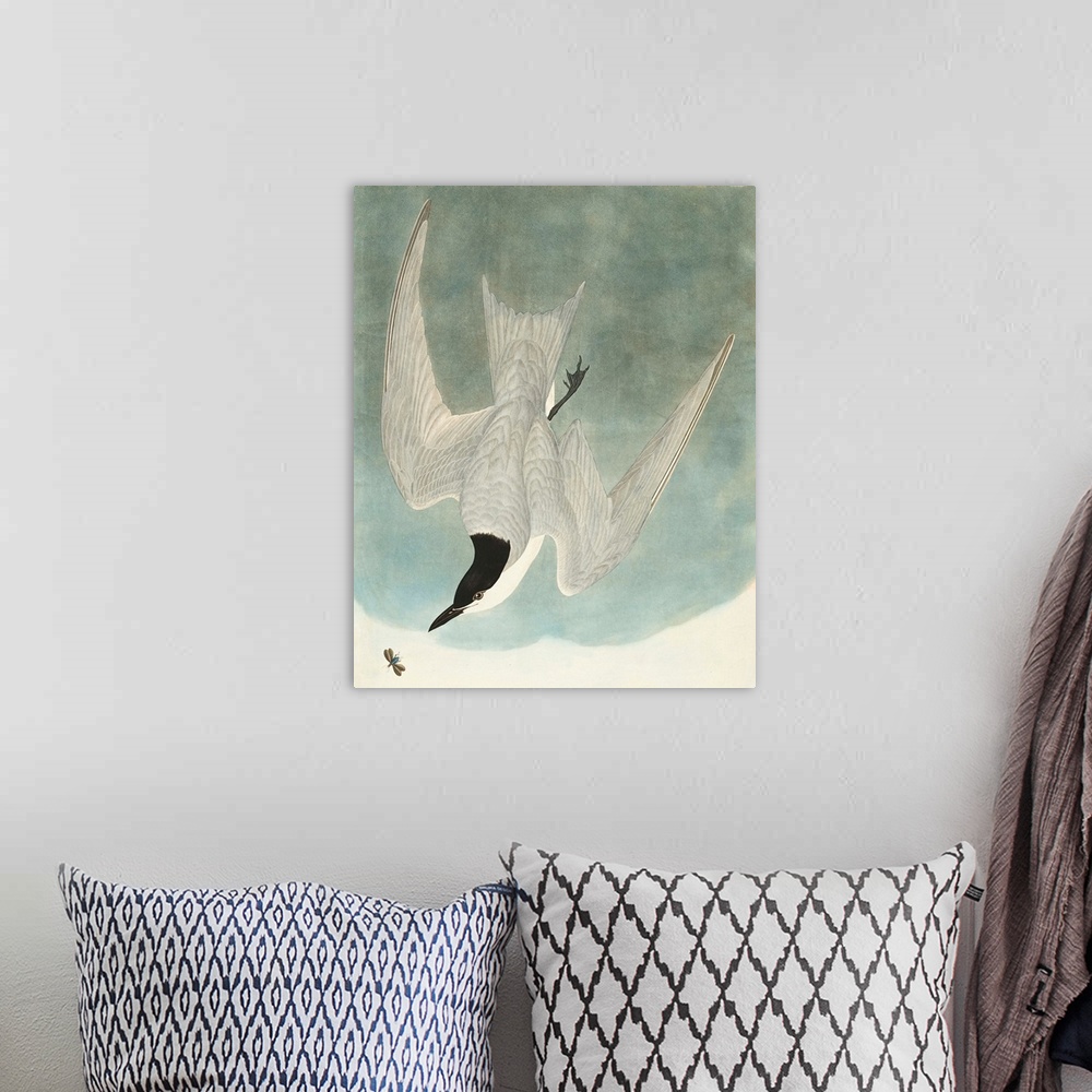 A bohemian room featuring Marsh Tern