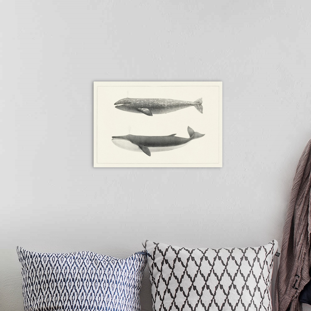 A bohemian room featuring Melville's Whales I