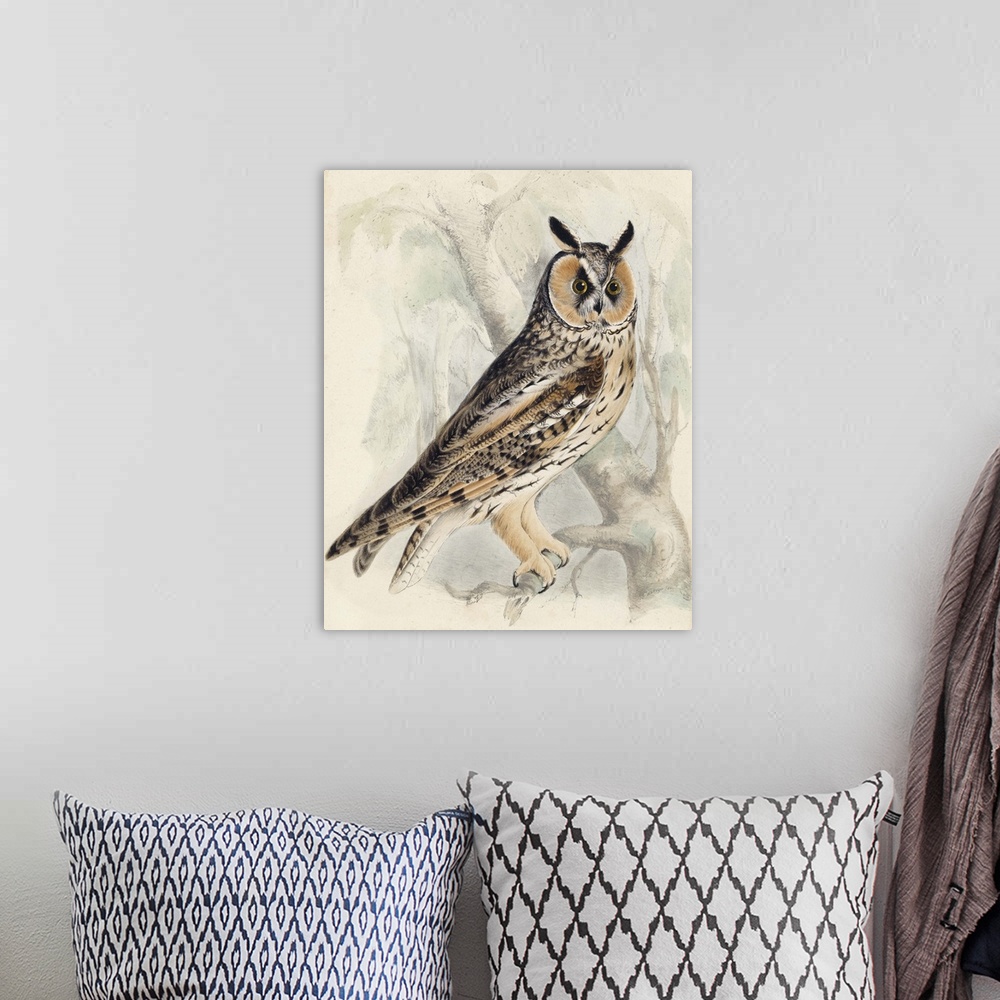 A bohemian room featuring Contemporary artwork of an owl illustration in a vintage style.