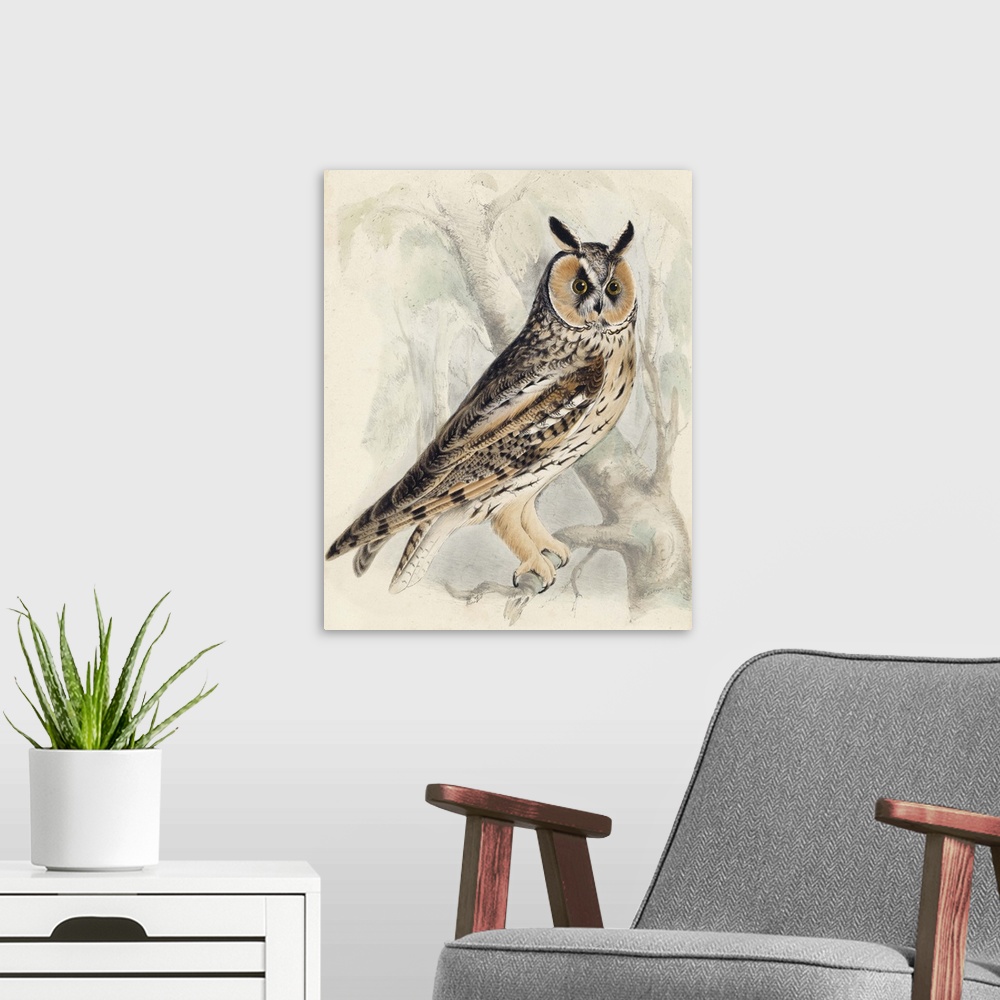 A modern room featuring Contemporary artwork of an owl illustration in a vintage style.