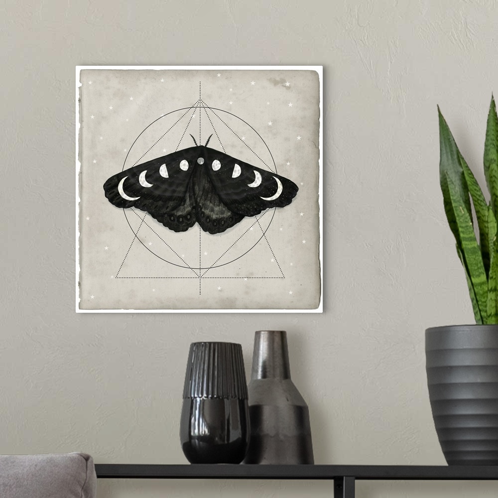 A modern room featuring Watercolor moth with moon shapes on its wings in front of geometric shapes on a tan background.