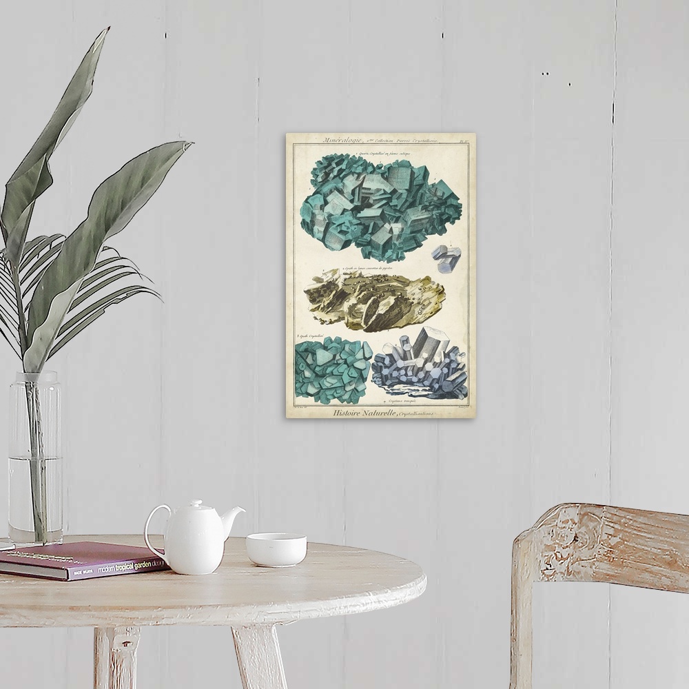 A farmhouse room featuring This decorative artwork features rock and crystalline illustrations over an aged background with ...
