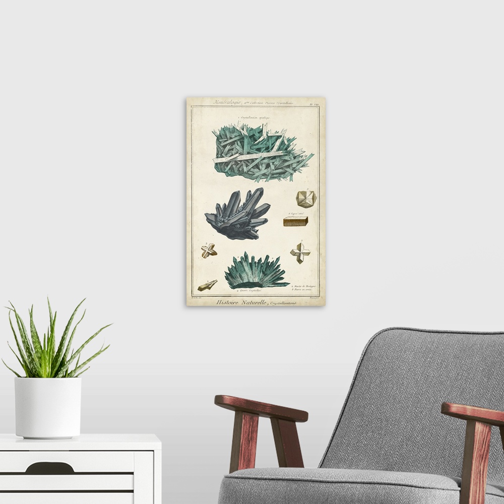 A modern room featuring This decorative artwork features rock and crystalline illustrations over an aged background with ...