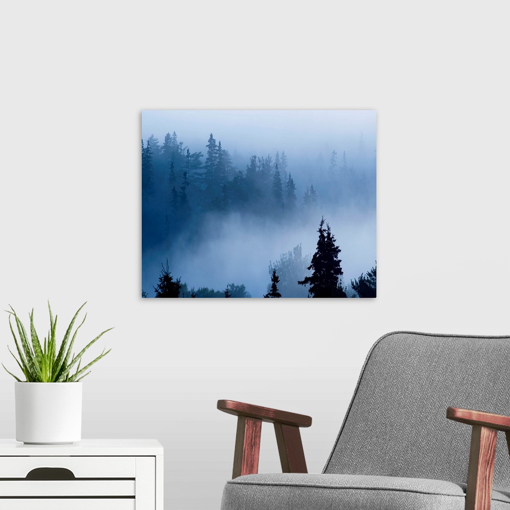 A modern room featuring Misty Mountains XV