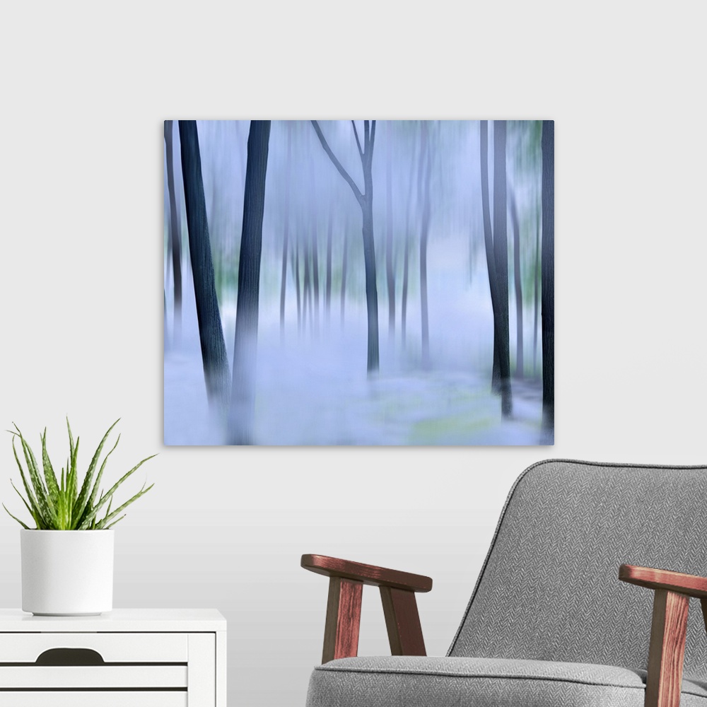A modern room featuring Misty Mountains XVI