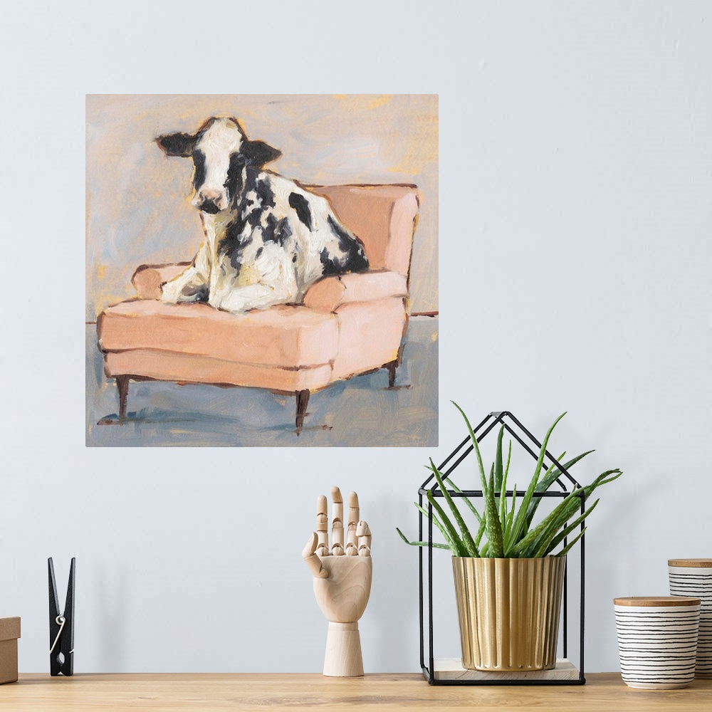 A bohemian room featuring A whimsical composition of a large black and white cow lying comfortably on a peach colored chais...