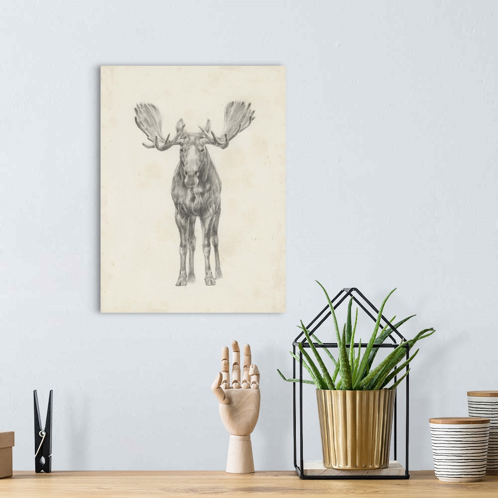 A bohemian room featuring Pencil drawing of a moose seen from the front.