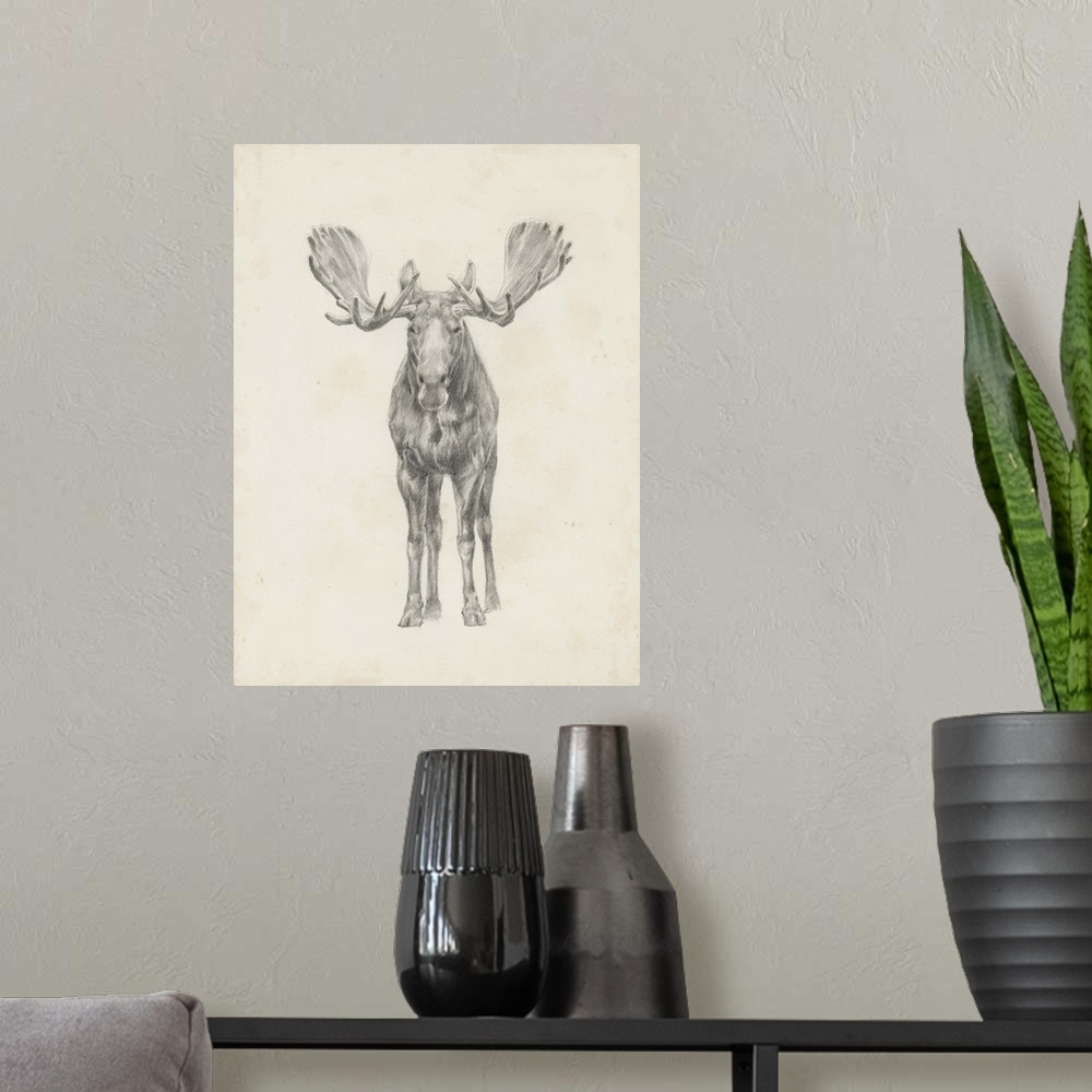 A modern room featuring Pencil drawing of a moose seen from the front.