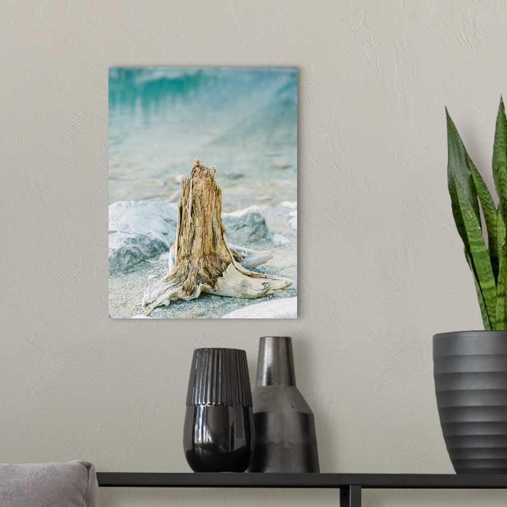 A modern room featuring A photograph of driftwood on the edge of Moraine Lake, Banff National Park, Alberta, Canada.