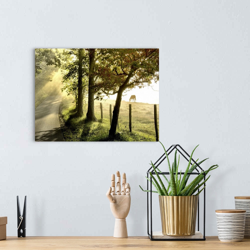 A bohemian room featuring Photograph of a countryside in early morning light with horses grazing in a field.