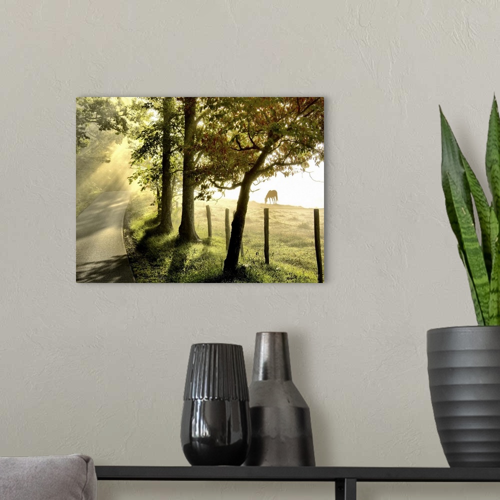 A modern room featuring Photograph of a countryside in early morning light with horses grazing in a field.