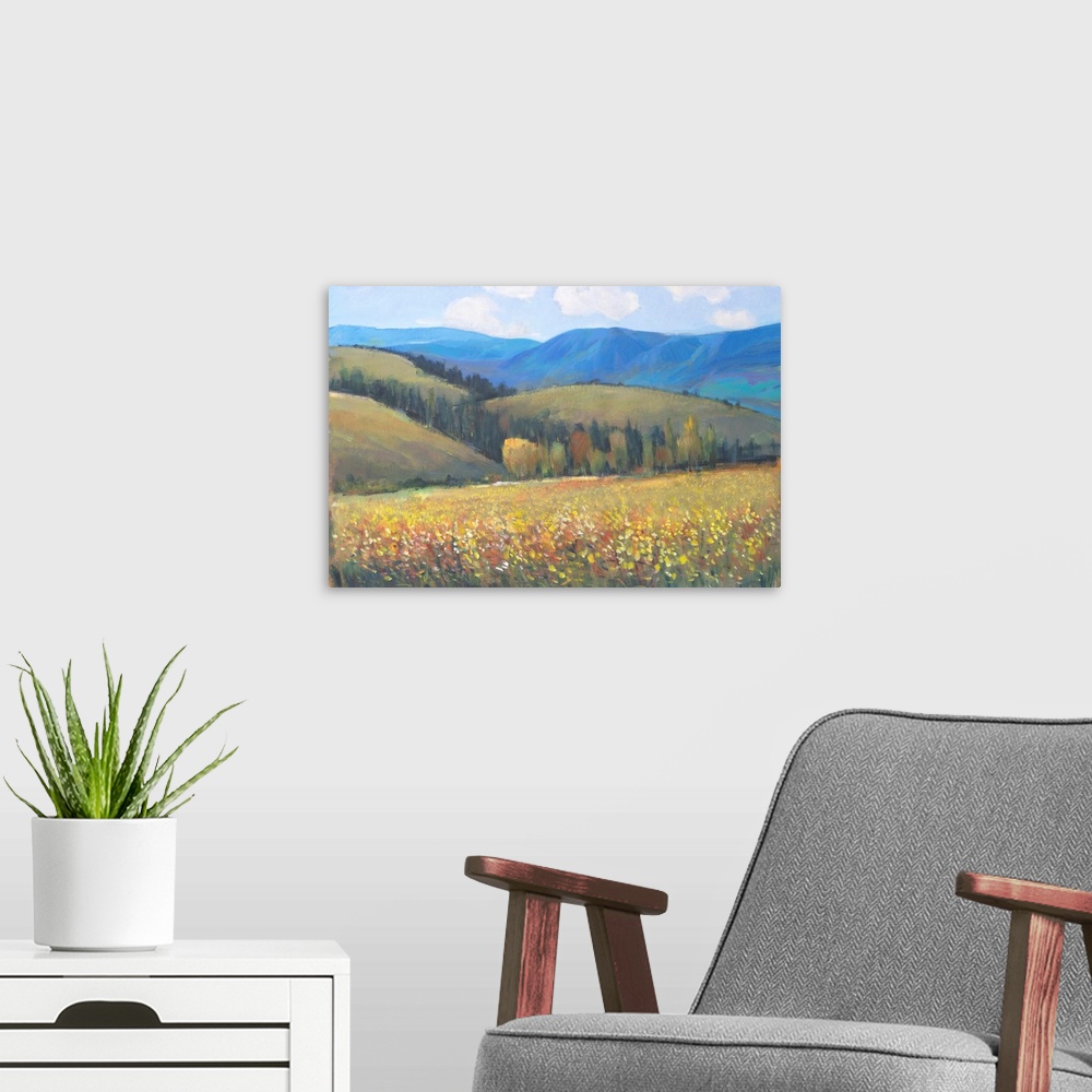 A modern room featuring Mountain Pass I