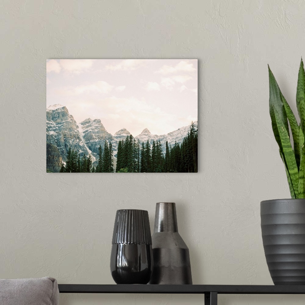 A modern room featuring Photograph of tall evergreen trees in front of snow covered mountains, Lake Louise, Canada