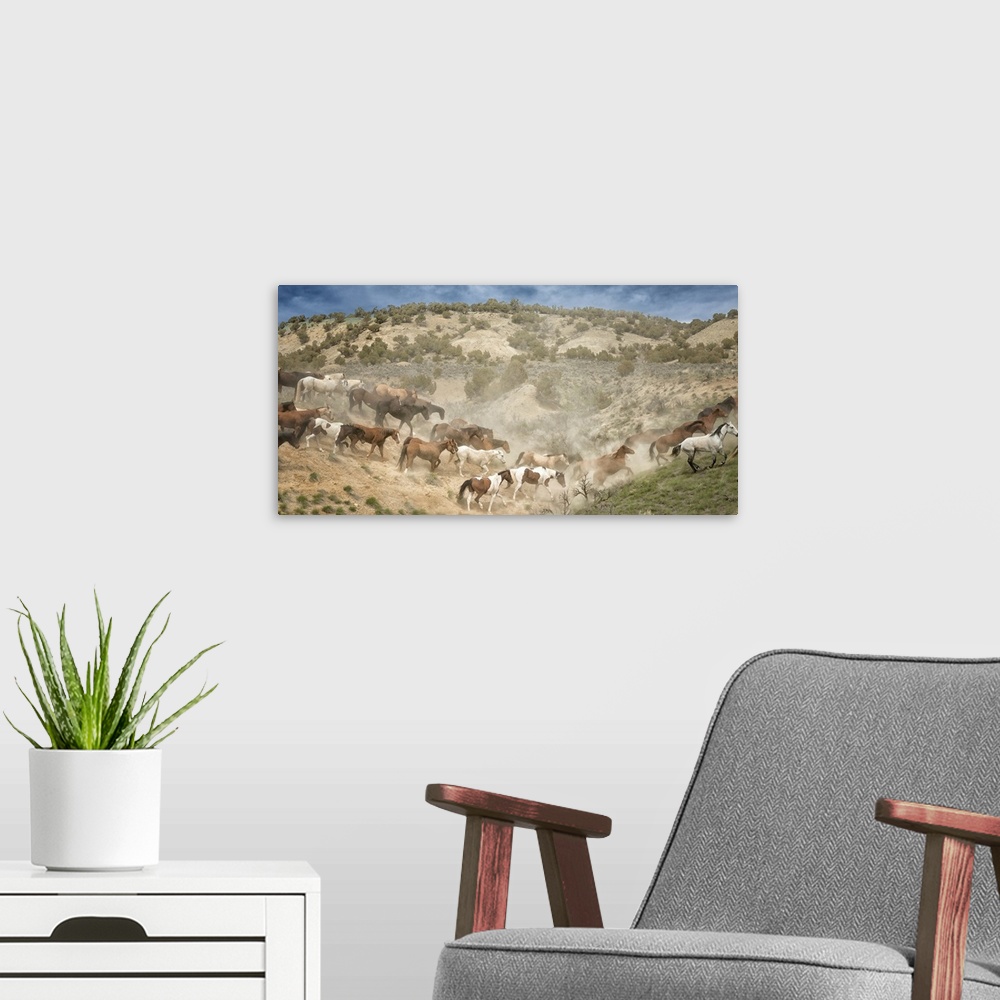 A modern room featuring Fine art photo of a herd of wild horses crossing a valley.