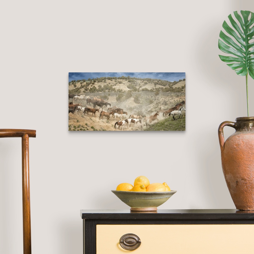 A traditional room featuring Fine art photo of a herd of wild horses crossing a valley.