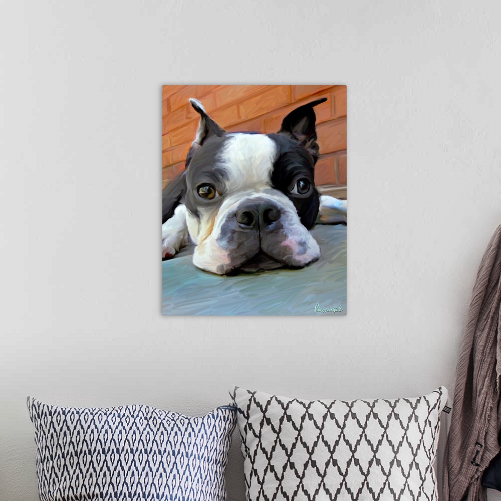 A bohemian room featuring Moxley Boston Terrier