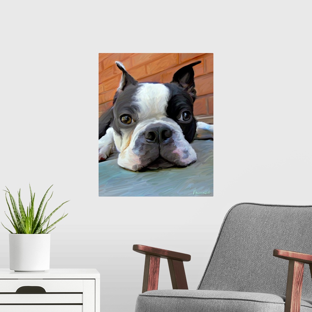 A modern room featuring Moxley Boston Terrier