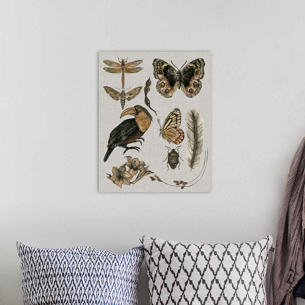 A bohemian room featuring This illustration features various insects, botanical plants and a bird in muted warm colors agai...