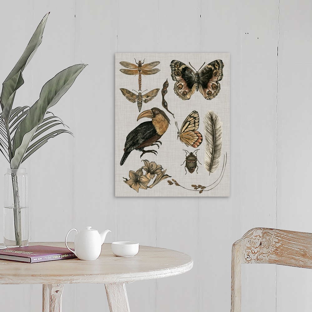 A farmhouse room featuring This illustration features various insects, botanical plants and a bird in muted warm colors agai...
