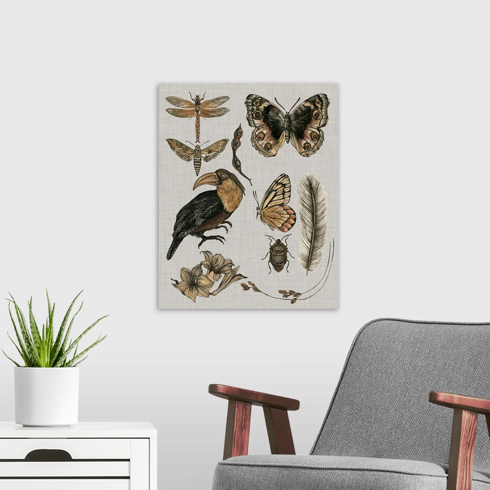 A modern room featuring This illustration features various insects, botanical plants and a bird in muted warm colors agai...