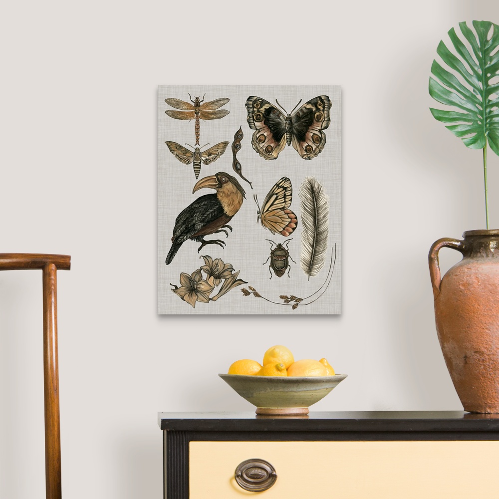 A traditional room featuring This illustration features various insects, botanical plants and a bird in muted warm colors agai...
