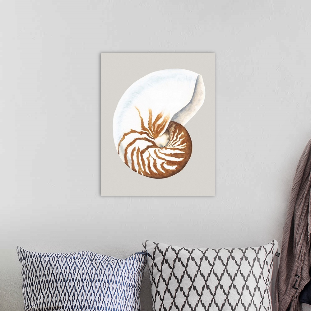 A bohemian room featuring Contemporary artwork of a detailed seashell.