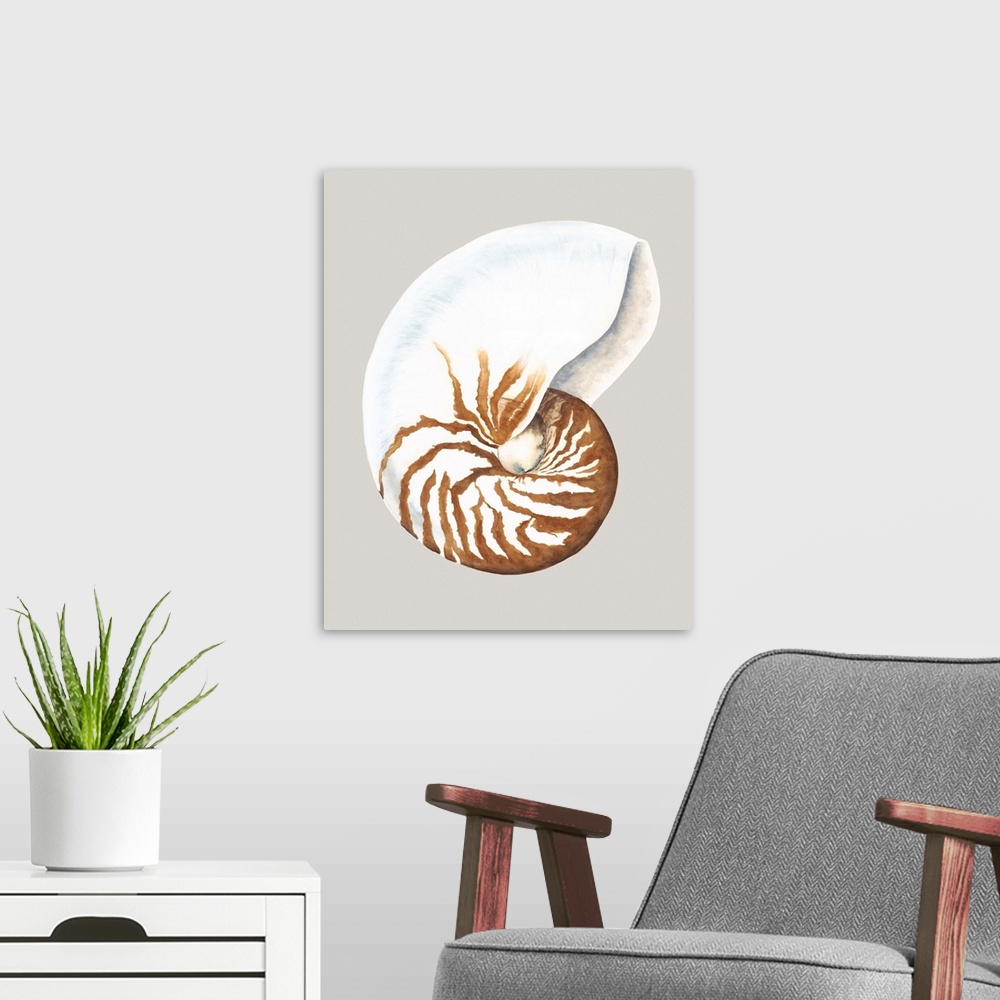 A modern room featuring Contemporary artwork of a detailed seashell.